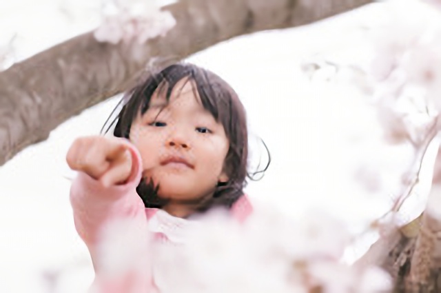 2歳児のかくれんぼ 難易度が上がっています 見ると かわいいですね 一生見つけらんないや いまトピライフ